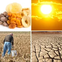 Les quatre images du niveau 505 de 4 Images 1 Mot