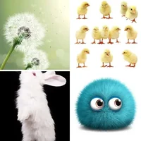Les quatre images du niveau 591 de 4 Images 1 Mot