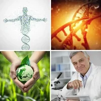 Les quatre images du niveau 604 de 4 Images 1 Mot