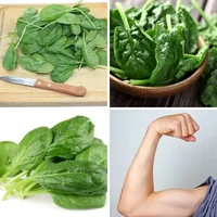Les quatre images du niveau 710 de 4 Images 1 Mot