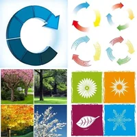 Les quatre images du niveau 715 de 4 Images 1 Mot