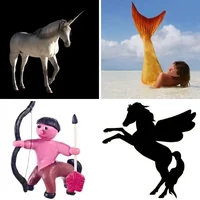 Les quatre images du niveau 753 de 4 Images 1 Mot