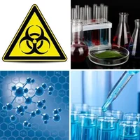 Les quatre images du niveau 836 de 4 Images 1 Mot
