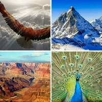 Les quatre images du niveau 849 de 4 Images 1 Mot