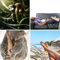 Les quatre images du niveau 897 de 4 Images 1 Mot