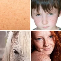 Les quatre images du niveau 1041 de 4 Images 1 Mot